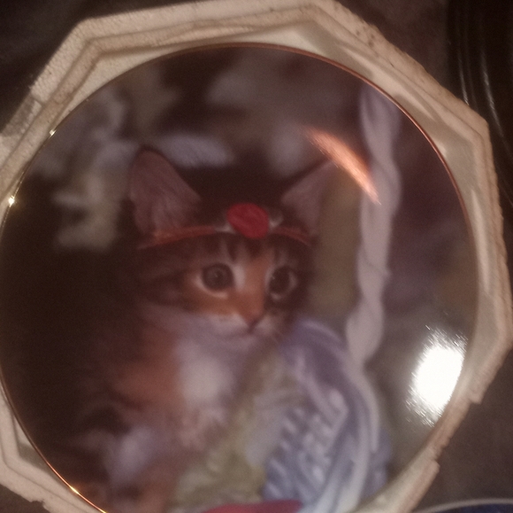 Everything - Picture 2 of 10